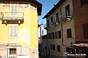 VBS_9476 - La Morra, Barolo, Grinzane Cavour, Pollenzo